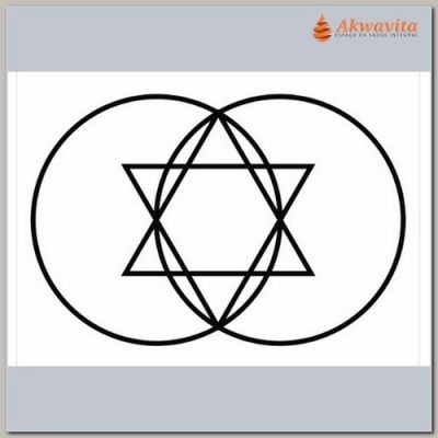 Vesica Piscis Reprogramador Gr Radiônico PVC Adesivo 22x32cm