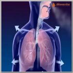 Fisioterapia Respiratória Recuperando a Capacidade Pulmonar