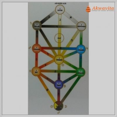 Árvore da Vida Colorido Gráfico Radiônico PVC 15x28cm