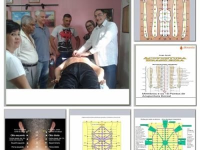 Curso Acupuntura Brasileira Abdominal Cervical Dorsal e Membros