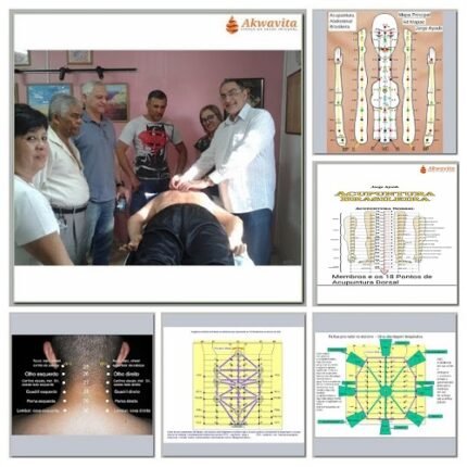 Curso Acupuntura Brasileira Abdominal Cervical Dorsal e Membros