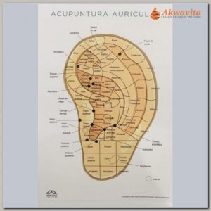 Mapa de Auriculoterapia Chinesa Marcos Lisboa duplo- Merithus