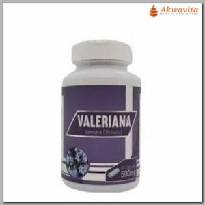 Valeriana officinalis 500 mg Calmante natural