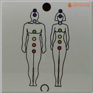 Figura Humana Chakras Cor Gráfico Radiônico PVC20x20cm