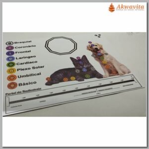 Relógio Radiestésico Cores Decágono Norte PVC 15x25cm
