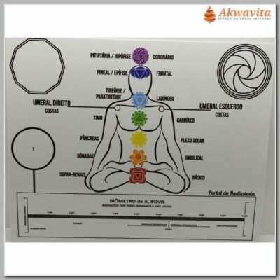 Gráfico PETs Chakras Decágono Biômetro PVC 20x25cm