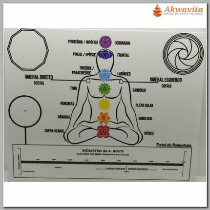 Gráfico PETs Chakras Decágono Biômetro PVC 20x25cm