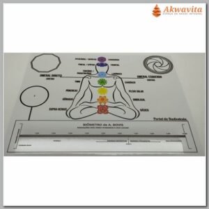 Gráfico PETs Chakras Decágono Biômetro PVC 20x25cm