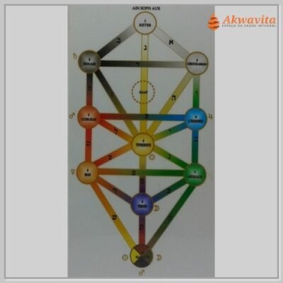 Árvore da Vida Colorido Gráfico Radiônico PVC 9x17cm
