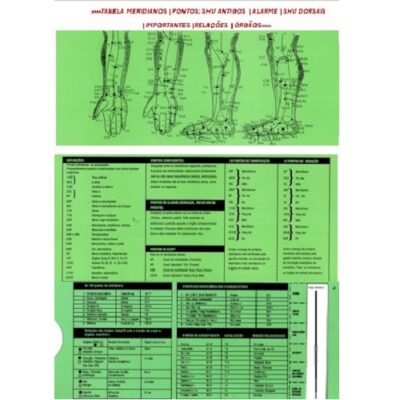 TTabela Principais Ptos da Acupuntura Shu Antigos Dorsais-LJ