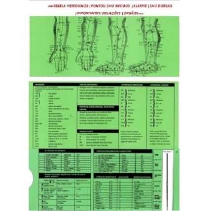 Tabela dos Principais Pontos da Acupuntura Shu Antigos Dorsais