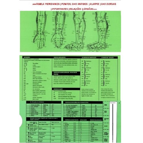 Tabela dos Principais Pontos da Acupuntura Shu Antigos Dorsais