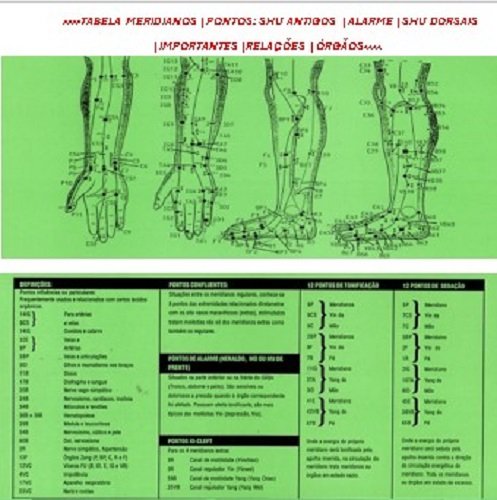 Tabela dos Principais Pontos da Acupuntura Shu Antigos Dorsais
