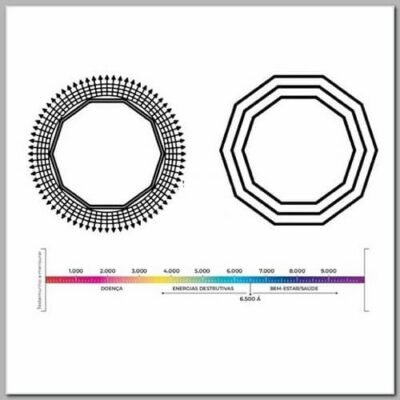 Prancha Biômetro Desimpregnador Decágono PVC20x33cm