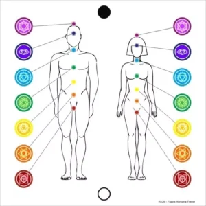 Mapa Figura Humana Masculino-Feminino Chakras 21x30cm