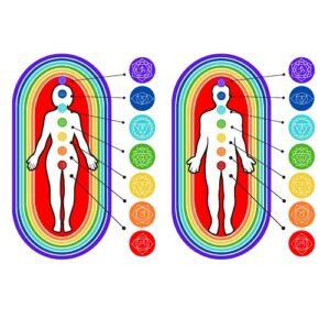 Mapa Figura Humana com Chakras e Aura 21x30cm Plastificado