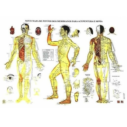 Mapa de Pontos dos Meridianos Acupuntura e Moxa 68x100cm