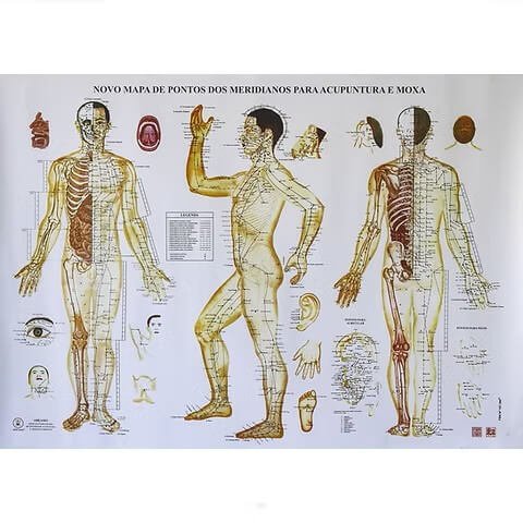 Mapa de Pontos dos Meridianos Acupuntura e Moxa 68x100cm
