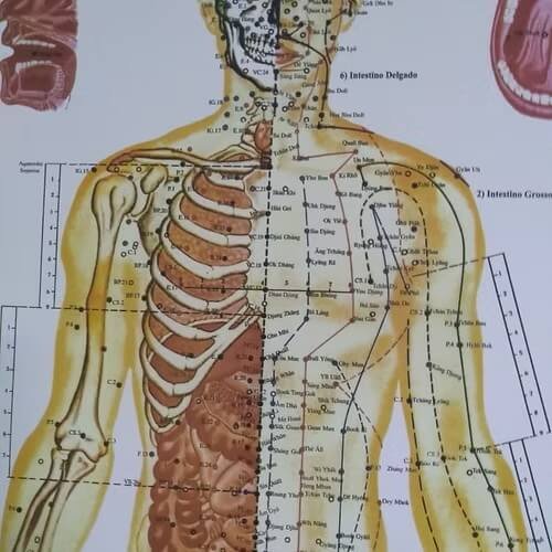 Mapa de Pontos dos Meridianos Acupuntura e Moxa 68x100cm