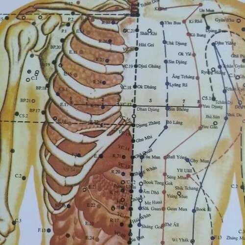 Mapa de Pontos dos Meridianos Acupuntura e Moxa 68x100cm