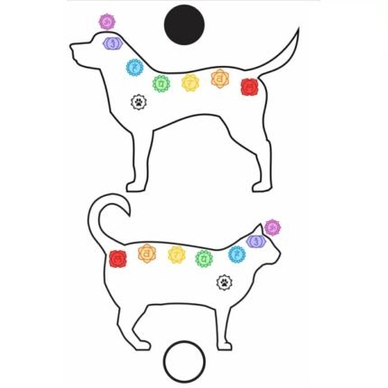 PET Cão e Gato Gráfico Radiônico Chakras PVC 19cm