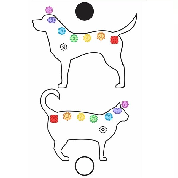 PET Cão e Gato Gráfico Radiônico Chakras PVC 19cm
