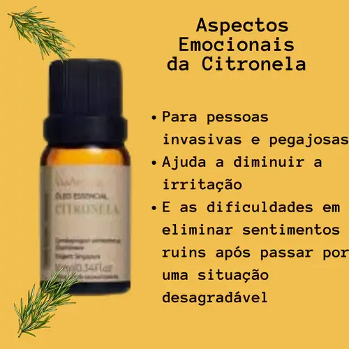 Óleo Essencial de Citronela Proteção e Vitalidade 10ml